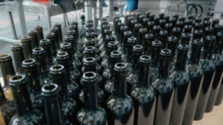 Les bouteilles de vin vides sont placées de manière ordonnée les unes à côté des autres