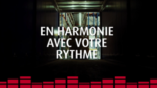 Vue depuis la zone de chargement d’un camion dans un entrepôt avec des palettes et des rayonnages